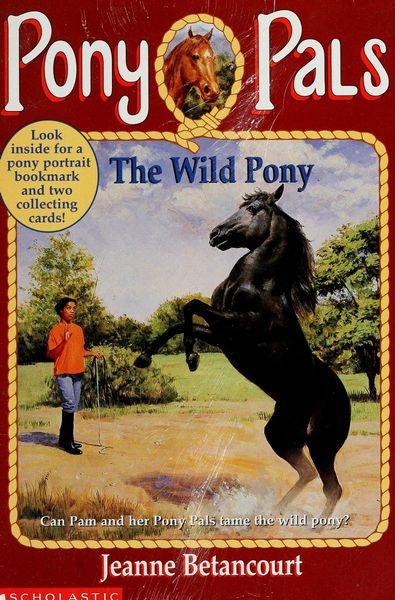 The Wild Pony