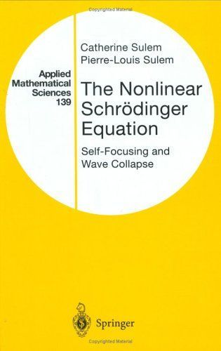 The Nonlinear Schrödinger Equation