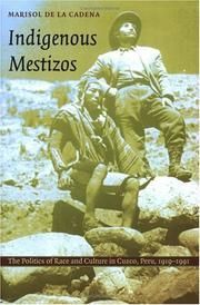 Indigenous Mestizos