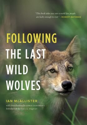 Following the Last Wild Wolves