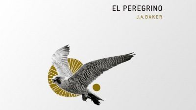 El peregrino