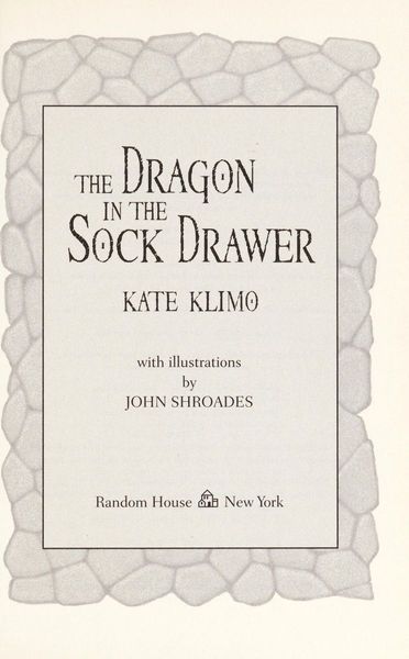 The Dragon in the Sock Drawer