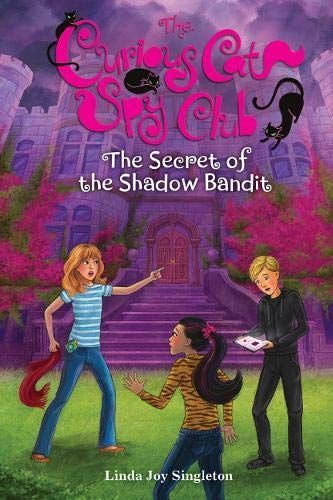 The Secret of the Shadow Bandit