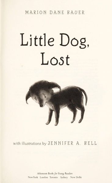 Little Dog, Lost