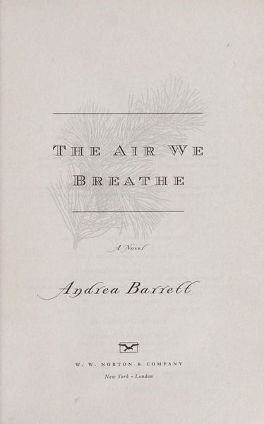 The Air We Breathe: A Novel