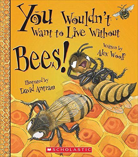 You Wouldn't Want to Live Without Bees!