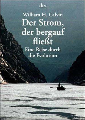 Der Strom, der bergauf fließt