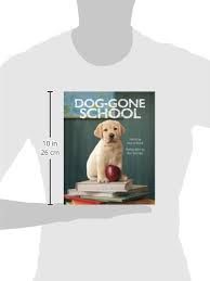 Dog-Gone School