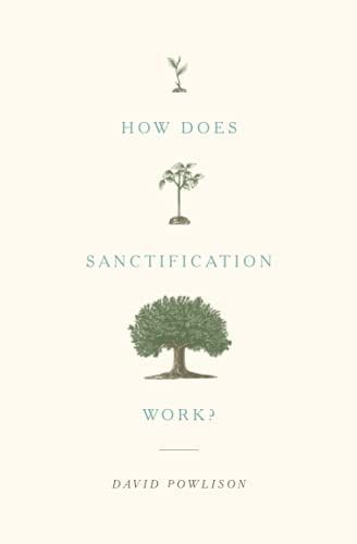 How Does Sanctification Work?