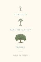 How Does Sanctification Work?