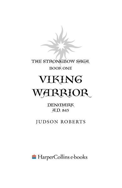 Viking warrior