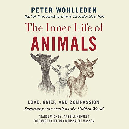 The Inner Life of Animals