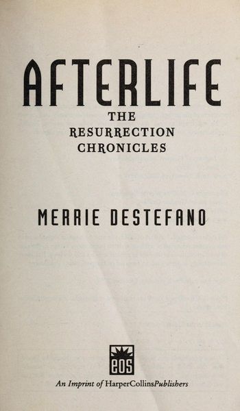 Afterlife