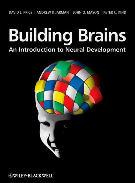 Building brains