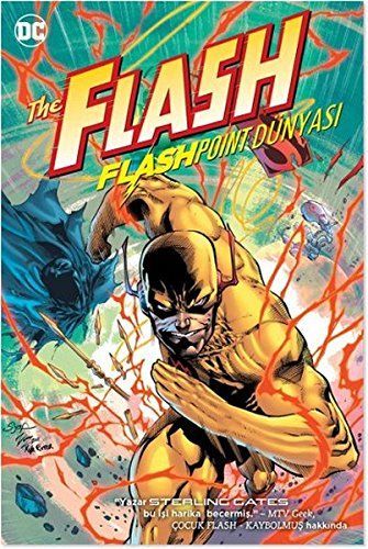 Flash Flashpoint Dünyasi