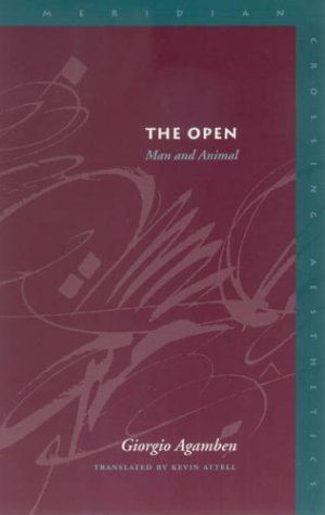 The Open