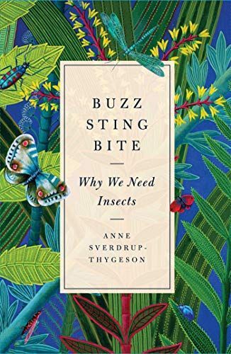 Extraordinary Insects: Weird. Wonderful. Indispensable. The ones who run our world.