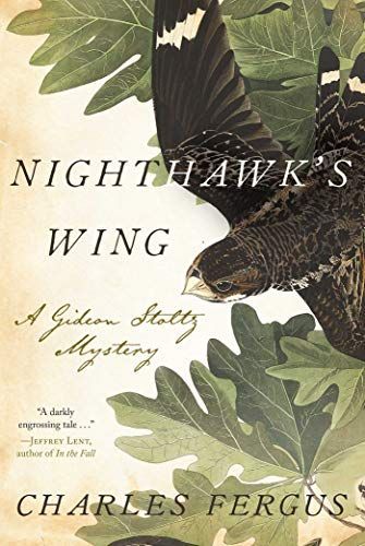 Nighthawk's Wing