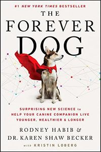 The Forever Dog
