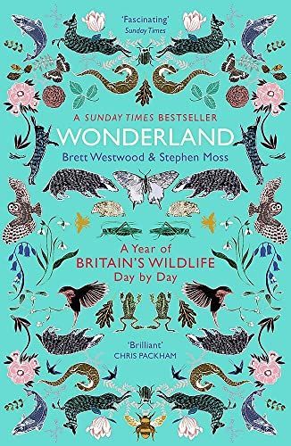 Wonderland