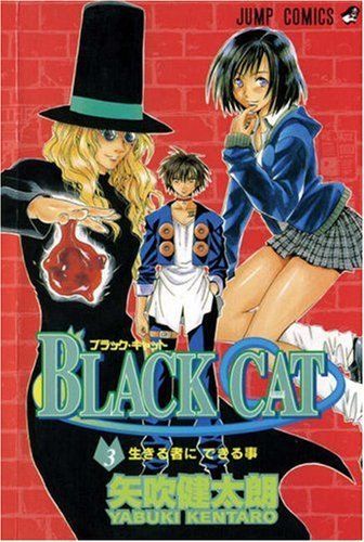 Black Cat, Vol. 3