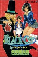 Black Cat, Vol. 3