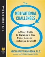 The 8 Motivational Challenges