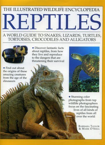 Viewfinder Reptiles