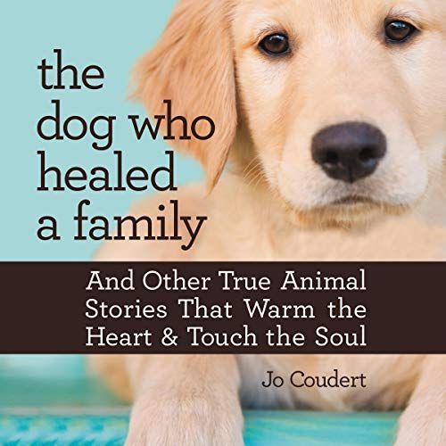 The Dog Who Healed A Family