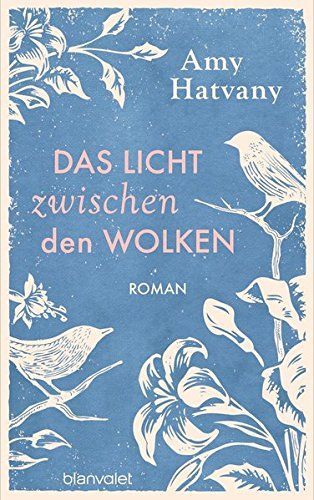 Das Licht zwischen den Wolken