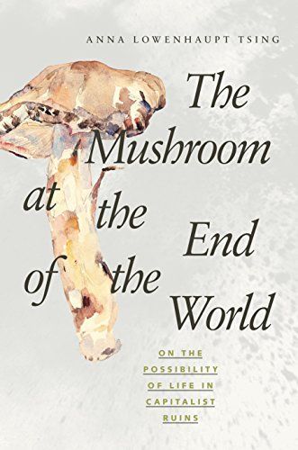 Le champignon de la fin du monde