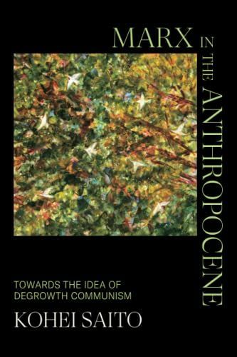 Marx in the Anthropocene