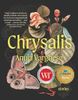 Chrysalis