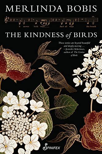 Kindness of Birds