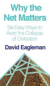 Why the Net Matters