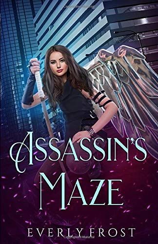 Assassin's Maze