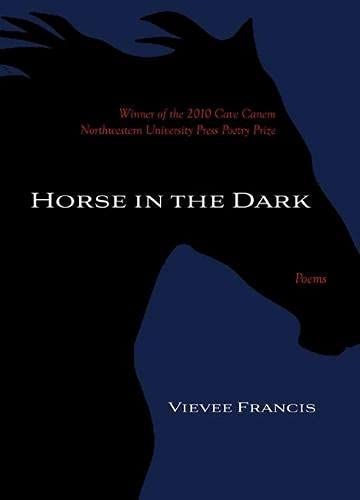 Horse in the Dark