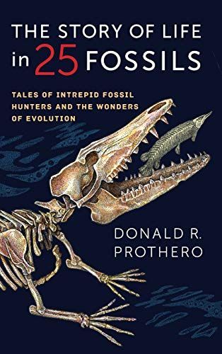 The Story of Life in 25 Fossils