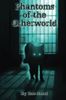 Phantoms of the Otherworld