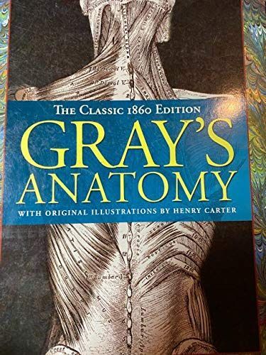 Gray's Anatomy