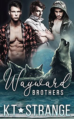 Wayward Brothers