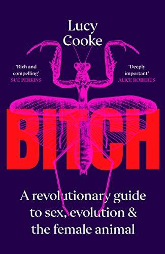 BITCH