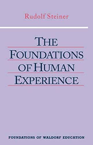 The Foundations of Human Experience