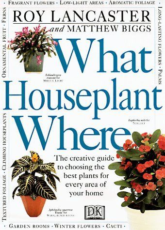 What Houseplant where