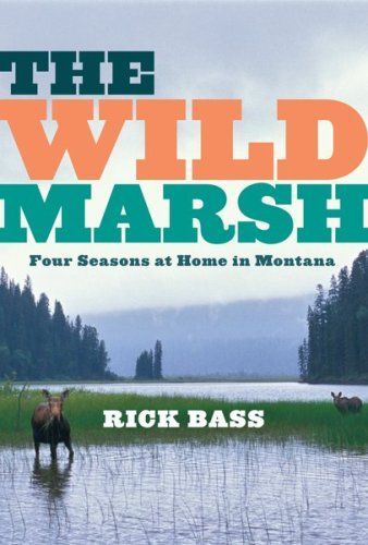 The wild marsh