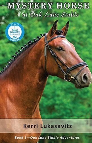 Mystery Horse at Oak Lane Stable