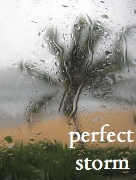 Perfect Storm