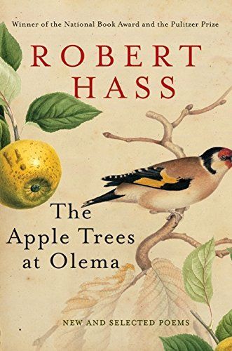 The apple trees at Olema