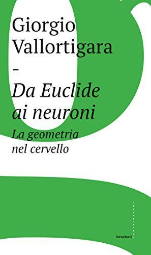 Da Euclide ai neuroni. La geometria nel cervello