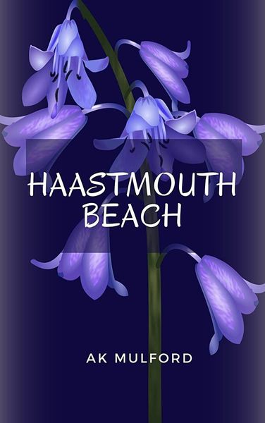 Haastmouth Beach